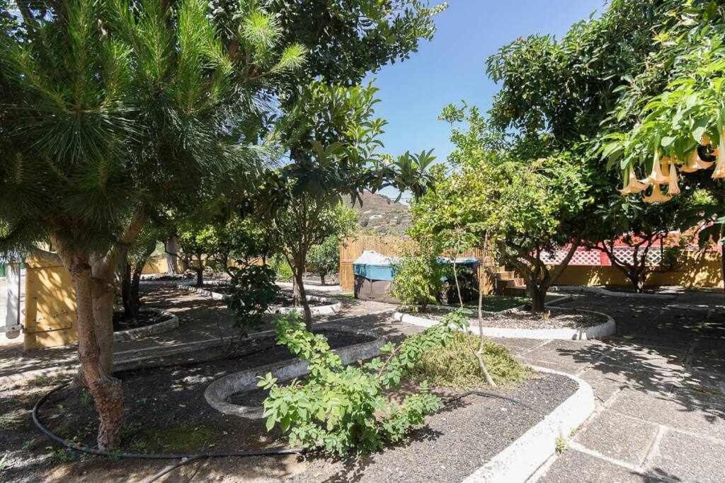 Villa Ojuelos Gran Canaria Vega de San Mateo Exterior photo